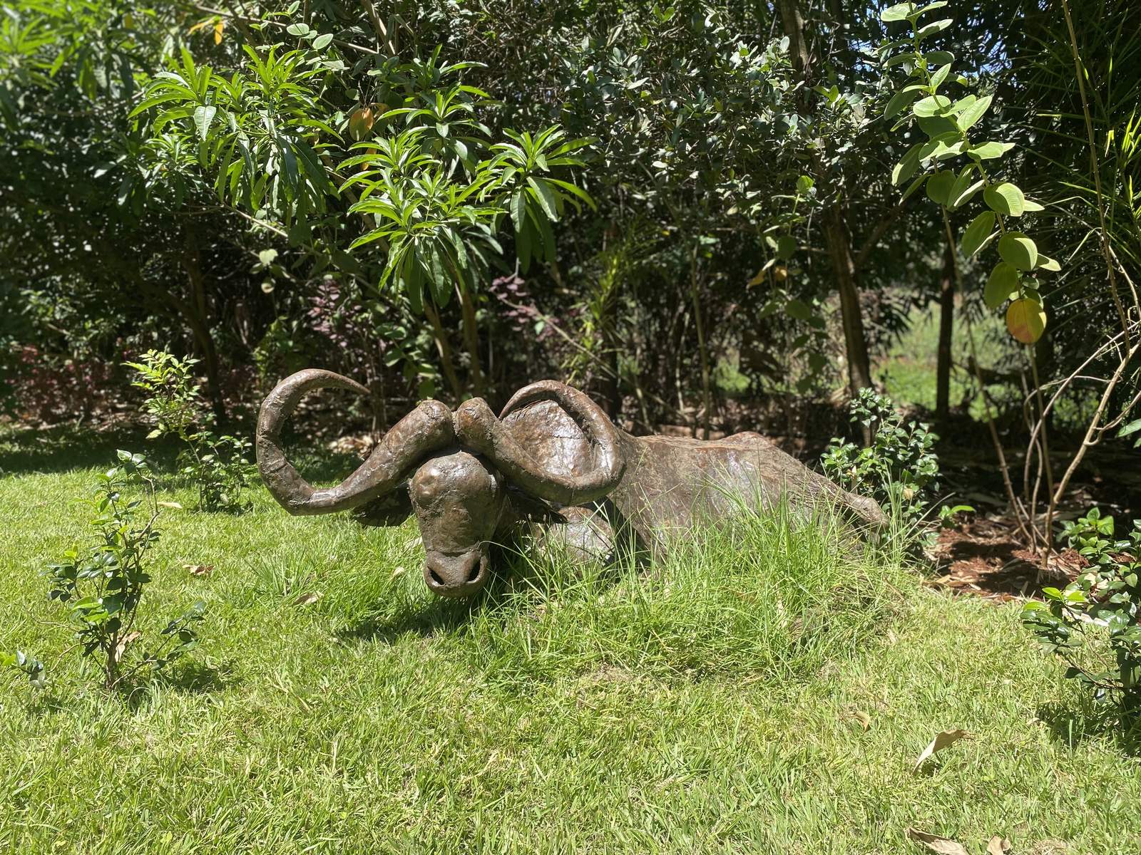 Maarifa Park - Gallery 6